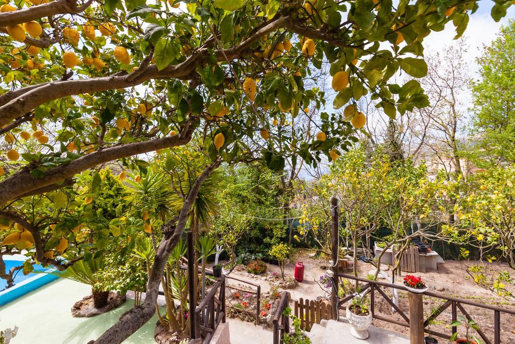 Maison d'hôtes Nitrodi Experience à Barano dʼIschia Extérieur photo