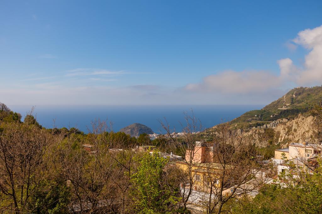 Maison d'hôtes Nitrodi Experience à Barano dʼIschia Extérieur photo